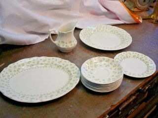 1.  Dinner Plate,  Royal Staffordshire Blossom Time England