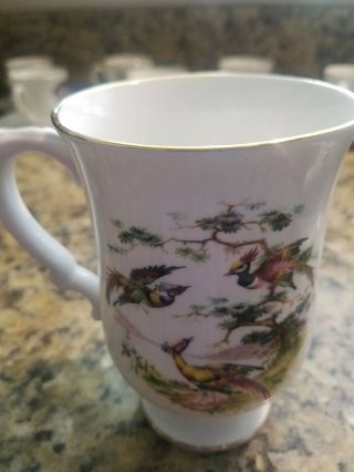 Crown Staffordshire Birds Fine Bone China Mug - Cup Made In England - Euc