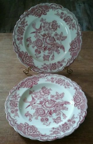 Vintage Large Bristol Pink Crown Ducal Dinner Plates Set Of Two 9 3/4 "