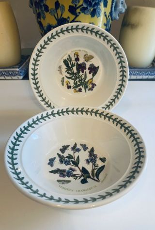 2 Vintage Portmeirion Botanic Garden Rim Cereal Bowls 6.  5 "