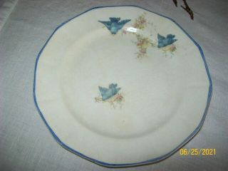 Vintage Bluebird Pattern China Salad Plate (7 1/4 ") By F.  C.  Co.