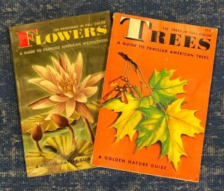 2 - Vintage A Golden Nature Guides: Familiar American Trees 1956 & Flowers 1950