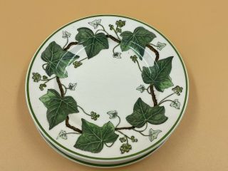 Wedgewood Napoleon Ivy Green Set of 4 Dessert or Bread Butter Plates 5 3/4 