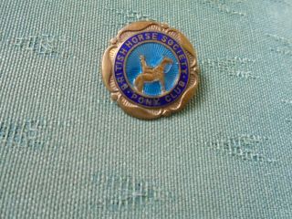 Vintage British Horse Society Pony Club - Enamel Pin Badge - Lewis