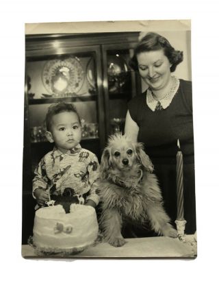 Vtg Photo Boy Joy With Cocker Spaniel Dog Mama Birthday Cake 1956