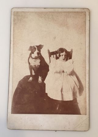 Vintage Cabinet Card Of Child On Chair W/large Dog Next To Her—as Is