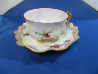 M Z Austria Tea Cup & Saucer Porcelain China Floral