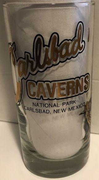 Vintage Carlsbad Caverns National Park Glass Tumbler Gold Black Clear Kapan Kent