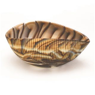 Home Decor - Murano Glass Decorative Shell Bowl - Ivory/ Brown - 7 " X 4.  5 "