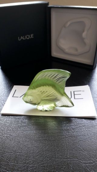 Lalique Fish,  Rare/unusual Colour,  Anise Special,  Angel Fish.  Bnib.  Gift Idea