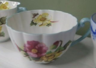 Shelley Begonia 13427 Ludlow Shaped Tea Cup Fine Bone China England