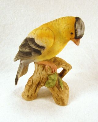 Lefton Gold Finch Porcelain Bird Figurine On Branch With Label Japan 4 " Kw1251