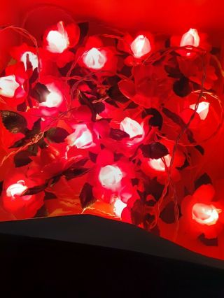Vintage Italian Miniature Lights Red Rose Lights Set Of 20 Christmas