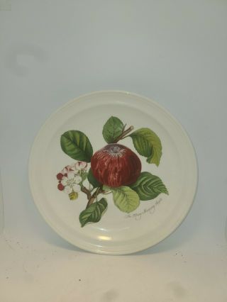 Portmeirion Pomona Susan Williams Hoary Morning Apple Dinner Dish Plate 10 1/2 "