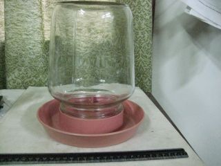 178 - 8un Premier One Gallon Chicken Water Fountain,  Gravity Fed With Vintage Glas
