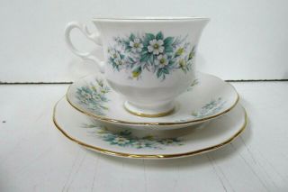 Vintage Queen Anne Blue White Yellow Floral Bone China Trio Cup Saucer Plate