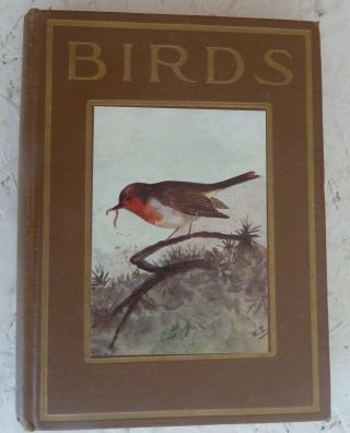 Vintage Book Birds Scott Henderson H/b 48 Colour Plates Ornithology