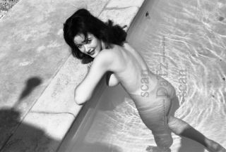 Vintage 1950s Negative - Nude Brunette Pinup Girl Val Randall - Cheesecake T971425