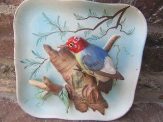 Vintage 3d Ceramic Wood Pecker In A Tree Decorative Art Picture
