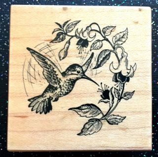 Vintage Rubber Stamp " Hungry Hummingbird " By Psx Designs 2 X 2 "