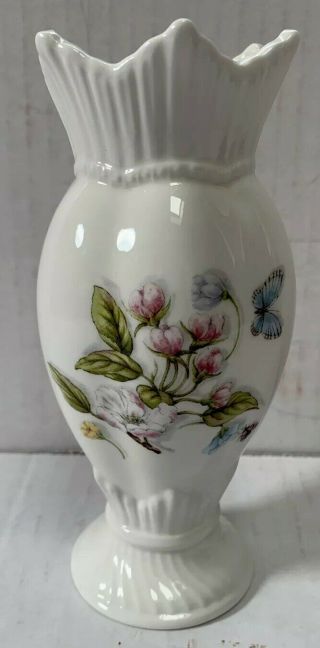 Aynsley Natures Delight Windsor Vase 6” Floral Butterfly Sea Shells England