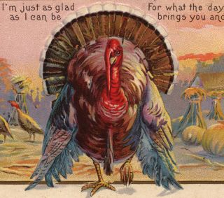 Vintage Thanksgiving Postcard - Large Turkey Tom Poem