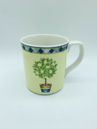 One Royal Doulton Carmina Mugs