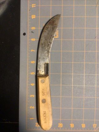 Dexter 3575 Vintage Curved Blade Skinning Knife - Southbridge,  Mass.