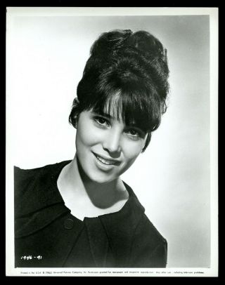 Vintage Actress Janet Margolin Studio Photo 1960s
