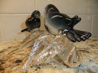 Murano Glass Blue / Dove Love Birds On Clear Branch / Artist Signed 3