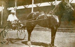 Bt454 Vintage Photo Jockey In Sulky W/ Horse,  Horse Race C Early 1900 