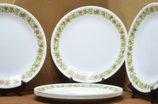 Set Of 7 Corelle By Corning Spice Of Life 10 1/4 " Dinner Plates