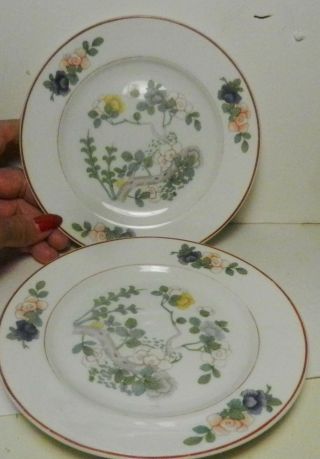 Set Of 2 Bread & Butter Plates - Indian Tree By Rosenthal - Continental - 6 1/8 "