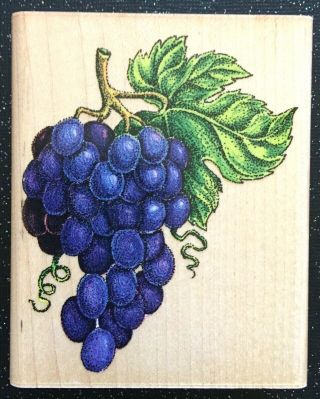 Vintage Rubber Stamp " Bunch Of Grapes " By Rubber Stampede 3 1/2 X 2 3/4 "