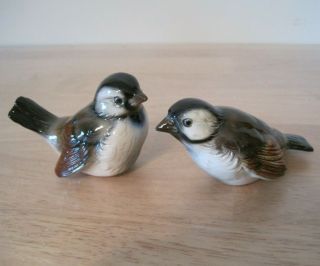 Vintage Pair Porcelain Goebel Sparrow Birds CV73,  CV75 Germany 1960 3