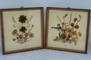 Vintage East Germany Dried Pressed Flowers Foliage In Wood Frames
