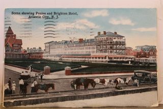 Jersey Nj Atlantic City Ponies Brighton Hotel Postcard Old Vintage Card View