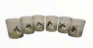 6 Vintage Ned Smith Upland Game Birds Barware Whiskey Glasses