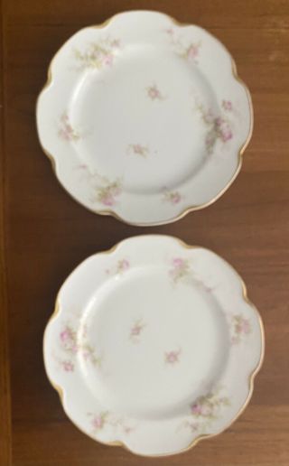 Haviland Limoges Schleiger 125 Blank 154b Pink Roses Flowers Gold 8 5/8” Plate