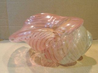 Large Murano Art Glass 10 1/2 " Conch Shell Shape Vase Pink/ Orange W/ Gold Bands