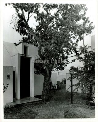 1972 Press Photo Business Coconut Grove Miami Herald Fl Vintage Building 8x10