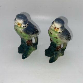 Vintage Parakeet Ceramic Salt & Pepper Shakers 4 " Blue Green Bird