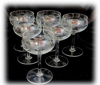 12 Vintage Grapes Vines Etched Wheel Cut Glass Stem Champagne Glasses Estate
