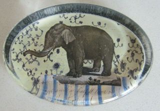 VERY RARE John Derian Decoupage Signed Glass Paperweight Elephant Oval American 2