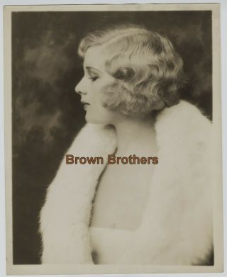 1920s Ziegfeld Star Hazel Forbes Oversized Dbw Photo Alfred Cheney Johnston 1
