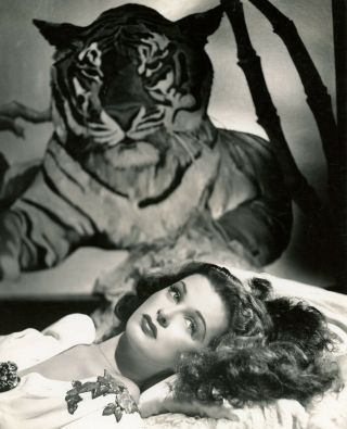 Film Noir Femme Fatale Joan Bennett 1945 Wild Cat Glamour Photograph 2