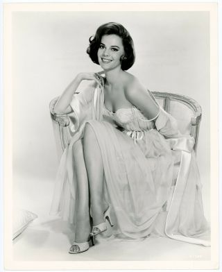 Natalie Wood All The Fine Young Cannibals Vintage 1960 Sultry Glamour Photograph