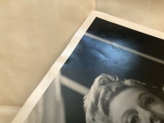 RARE 1930’s MGM 10x13 Studio photo Lana Turner by Willinger 5