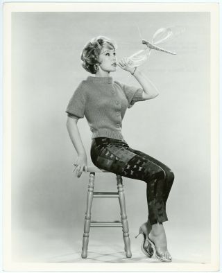 Tv Genie Barbara Eden Vintage 1962 Playful Pin - Up Fashion Photograph W Dragonfly
