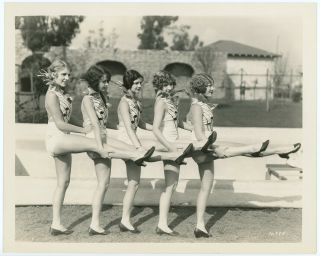 Jazz Age Chorus Line The Broadway Melody 1929 Chorus Girls Photograph
